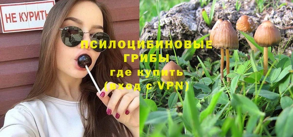 не бодяженный Аркадак